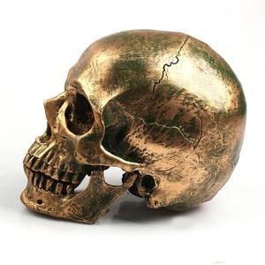 Halloween Skull Decorative Skull